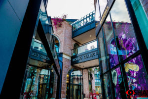 STREETS OF RODEO 2017 2018