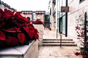 RODEO RED FLOWERS LA PERLA 2017